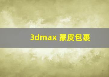 3dmax 蒙皮包裹